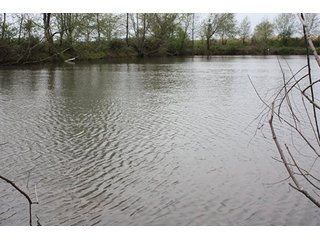 Property photo 16 - 438 +/- Acres Offered in 10 Tracts - Metcalf Farms - 6PM CST